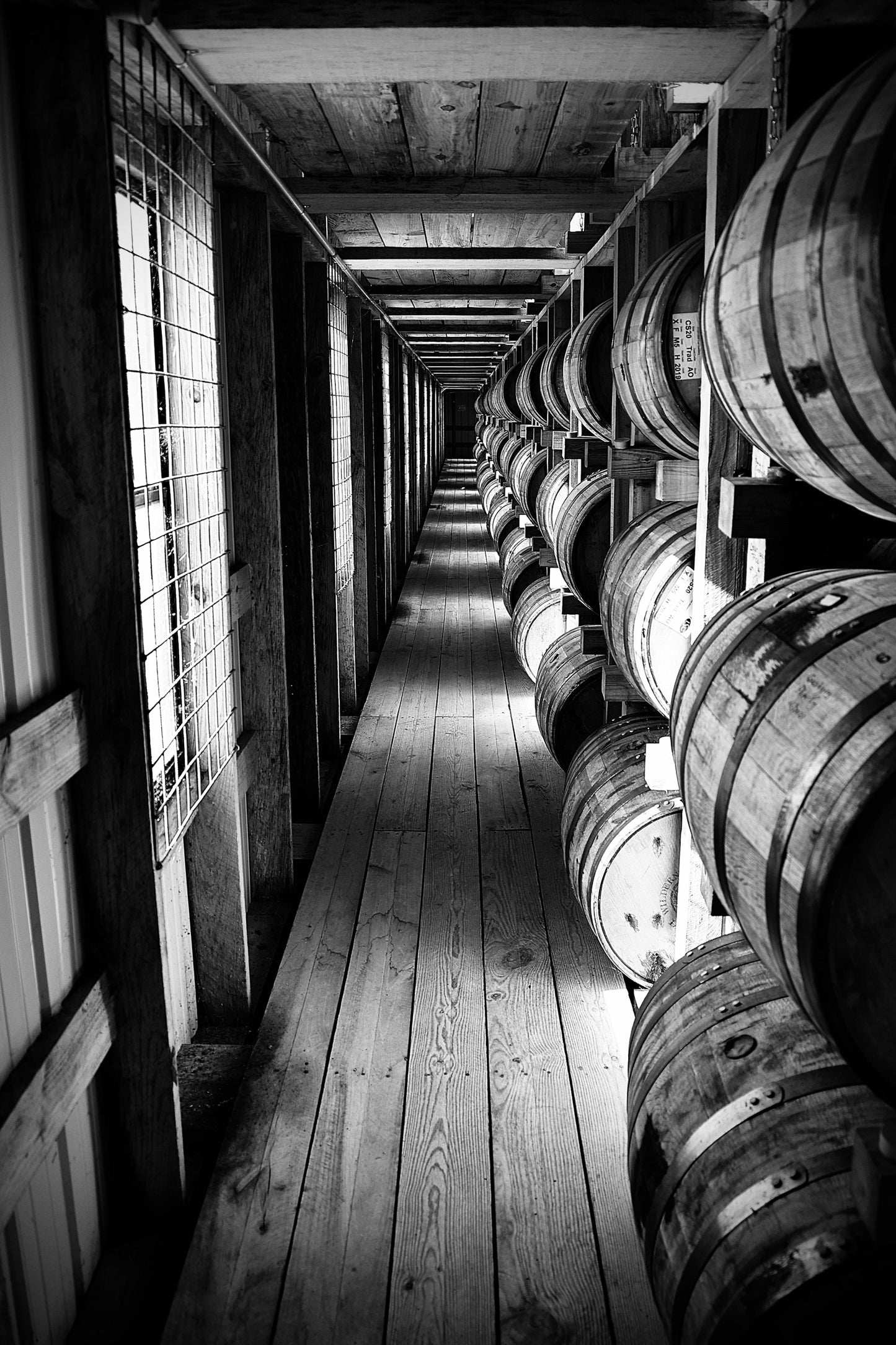 Patienta et Perfectum