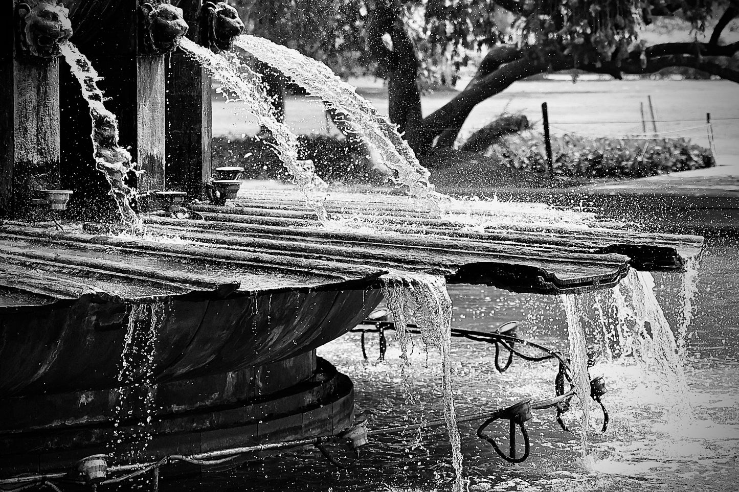 Momentum Brevem In Tempore