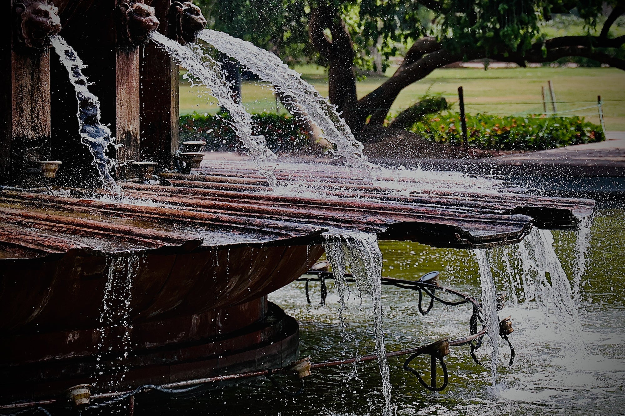 Momentum Brevem In Tempore