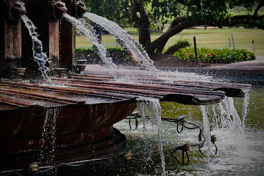 Momentum Brevem In Tempore