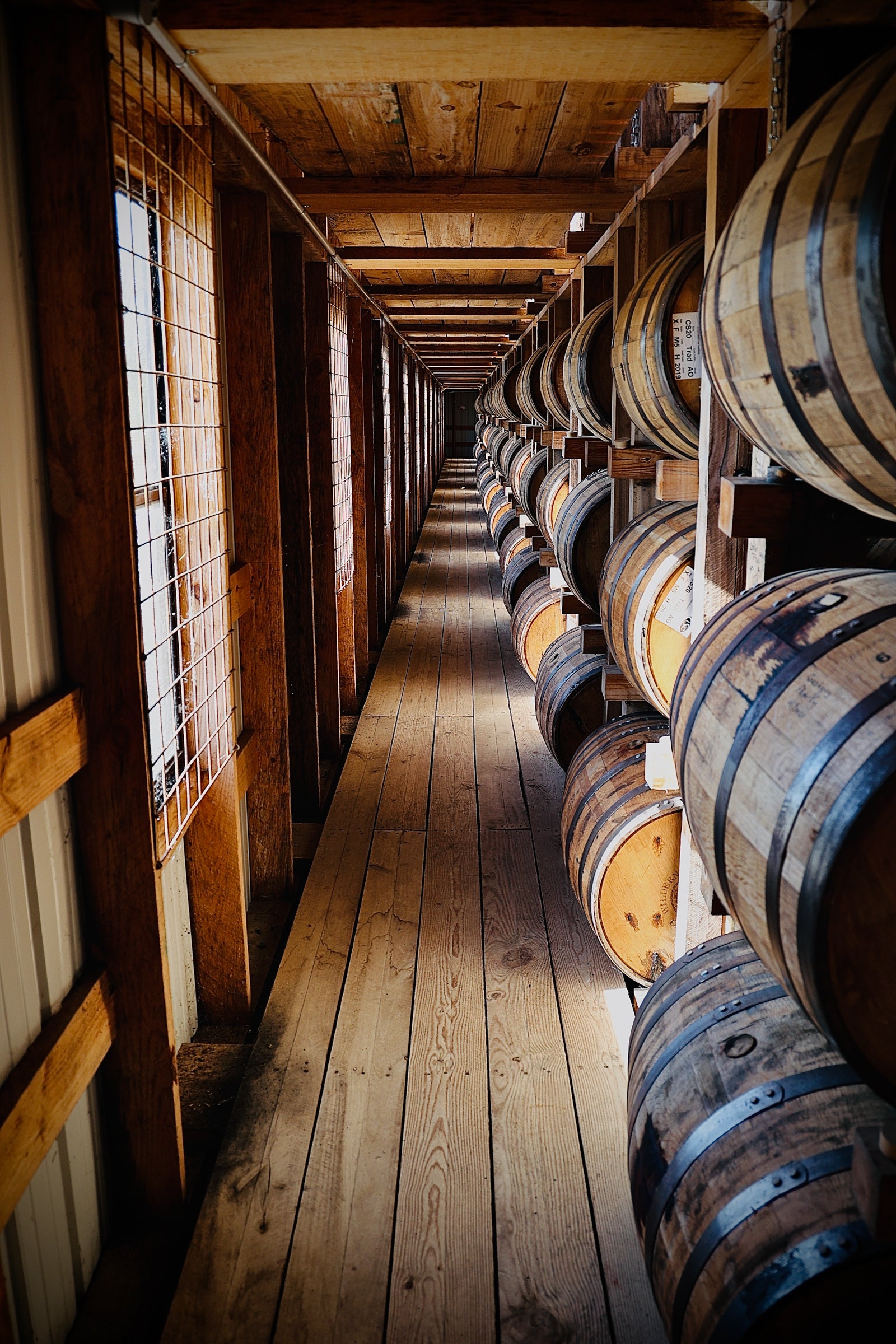 Patienta et Perfectum