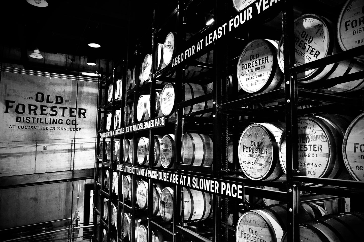 Senectus in Silentio