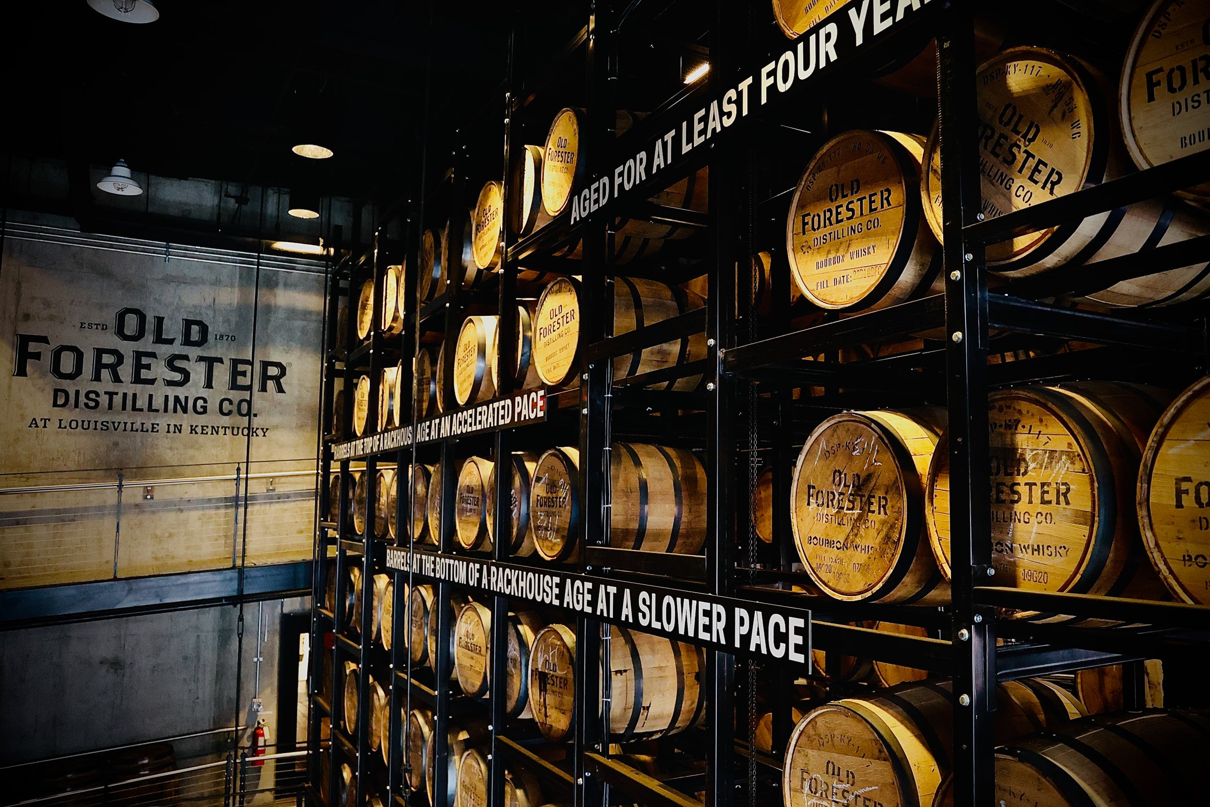 Senectus in Silentio