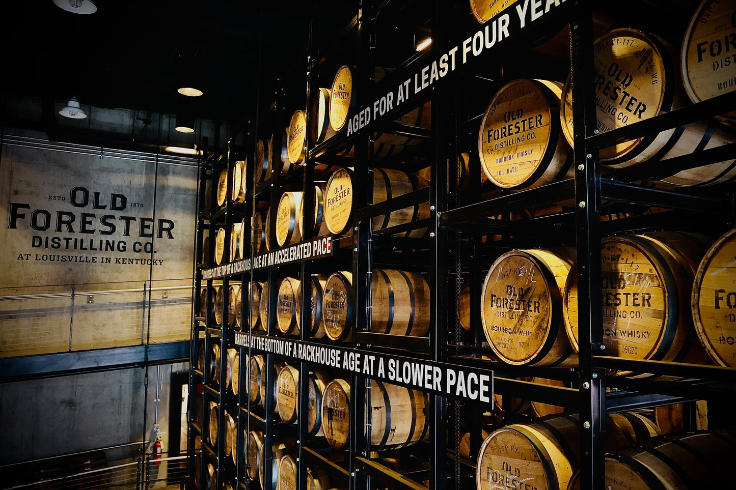 Senectus in Silentio