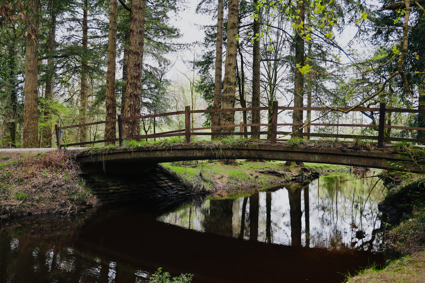 Silentium Transgressum